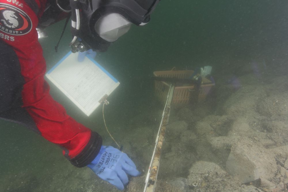 Archäologen tauchen im Oktober im Sempachersee und untersuchen Funde von Pfahlbauten. Bild: DKU