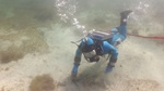 Taucher der Unterwasserarchäologie untersucht Seeboden (Quelle: Unterwasserarchäologie der Stadt Zürich)